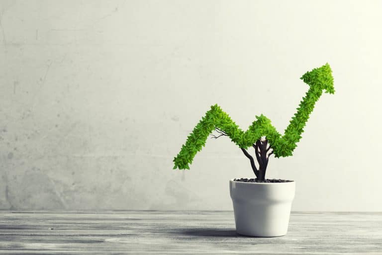 Small,Plant,In,Pot,Shaped,Like,Growing,Graph