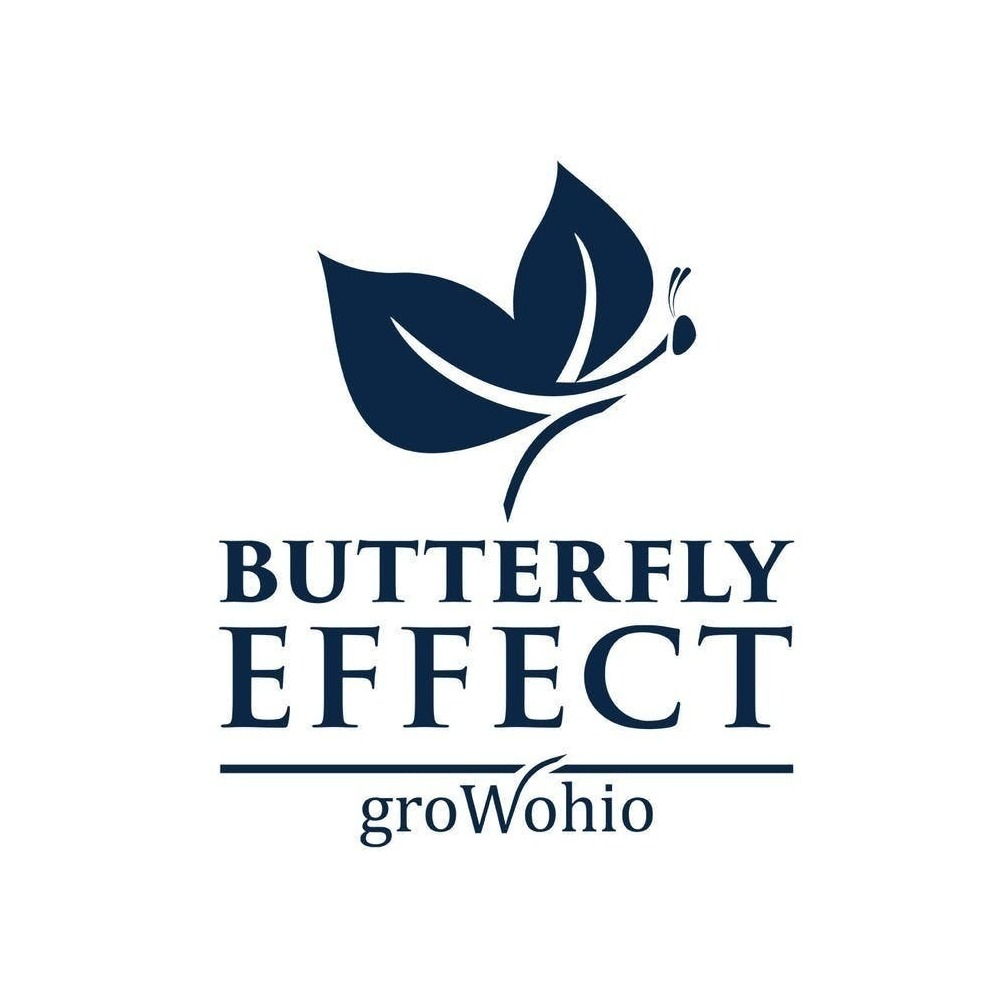 Brand logo for Ohio based Butterfly Effect